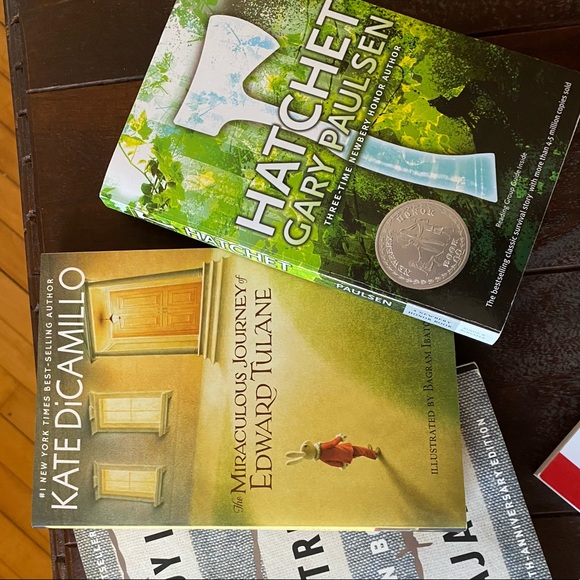 Variety Young Adult Books - Picture 3 of 4